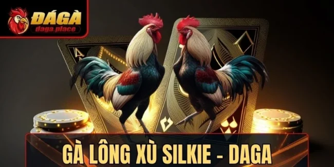 ga long xu silkie daga