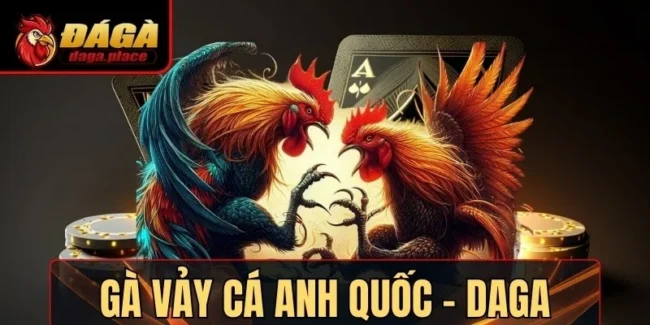 ga vay ca anh quoc daga